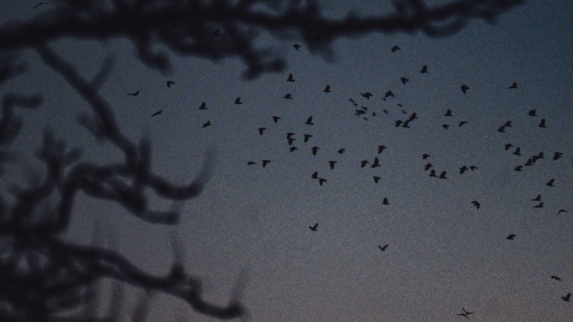 Silhouette of a cross against a dark sky with birds flying around it.