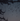 Silhouette of birds flying against a dark sky with tree branches in the foreground.